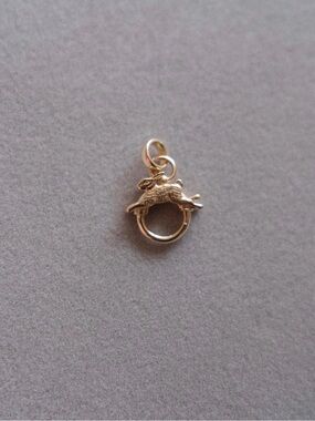 ISO!!! LUCKY RABBIT CLASP PENDANT